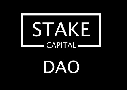 Bitcoin Loophole - 10.Stake Capital DAO [SCT]